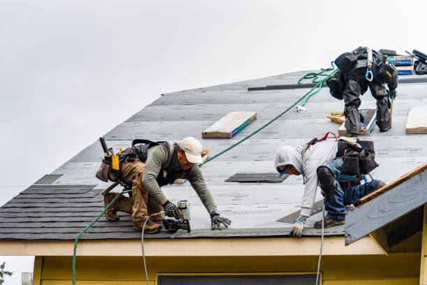 Professional Gutter Installation technician working in Lewisville, WA